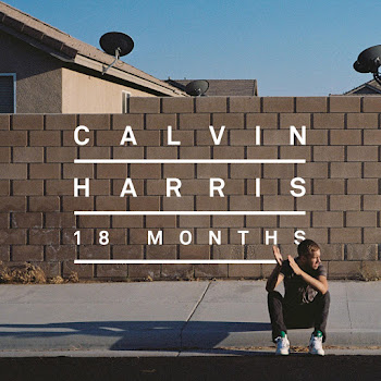 Calvin Harris - I Need Your Love (Feat. Ellie Goulding)